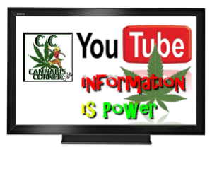 CannabisCornerCafe-Youtube-channel