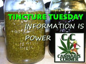 cannabis_cooking_tincture_03