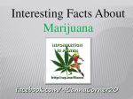marijuana-facts-presentation-1-728